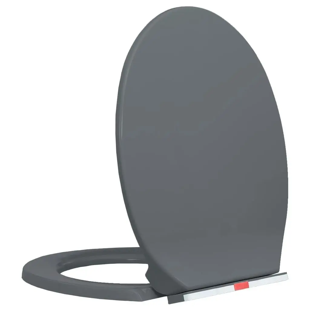 Soft-Close Toilet Seat Quick Release Grey Oval 145817