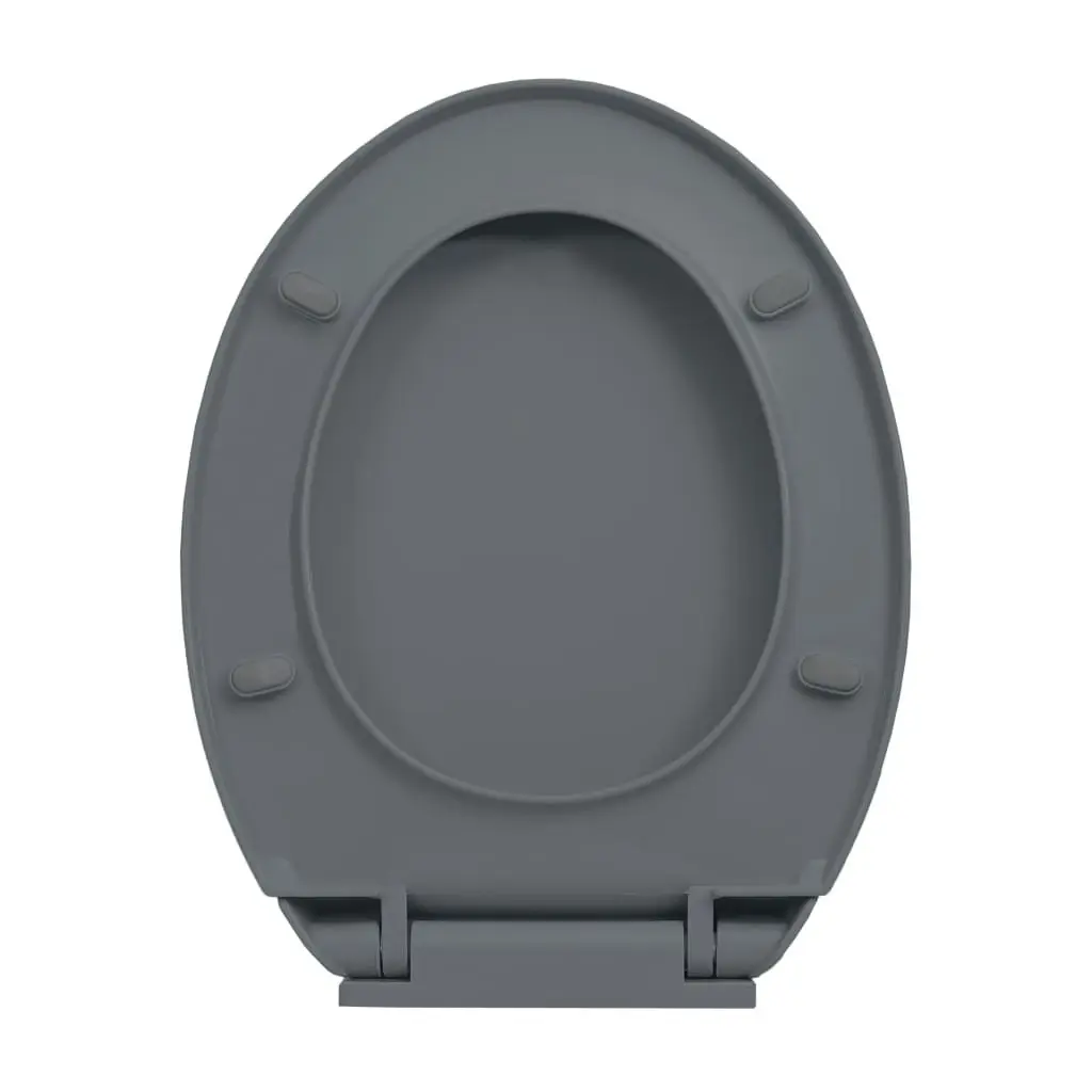 Soft-Close Toilet Seat Quick Release Grey Oval 145817