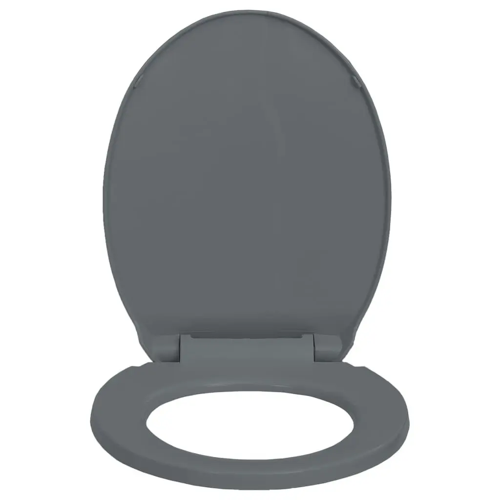 Soft-Close Toilet Seat Quick Release Grey Oval 145817