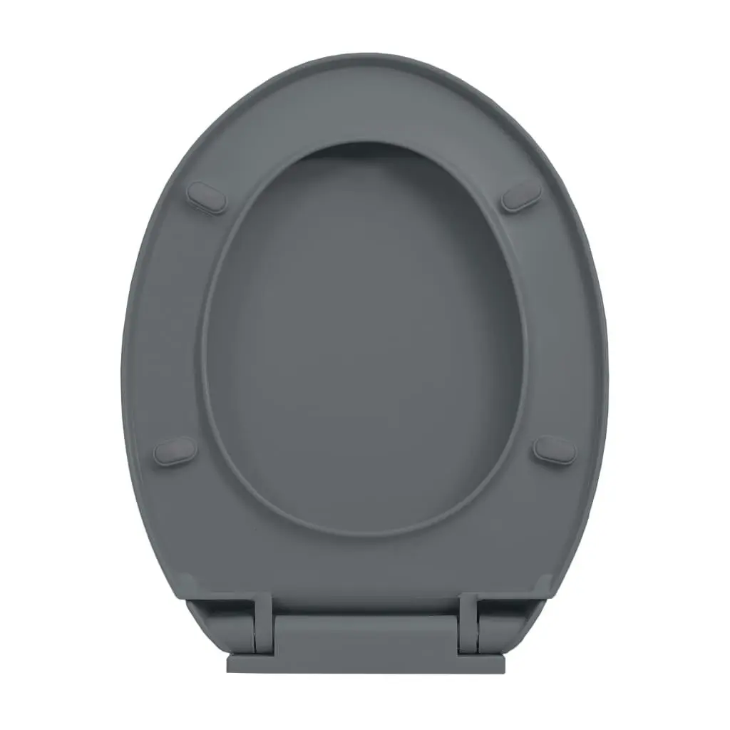 Soft-Close Toilet Seat Grey Oval 145816