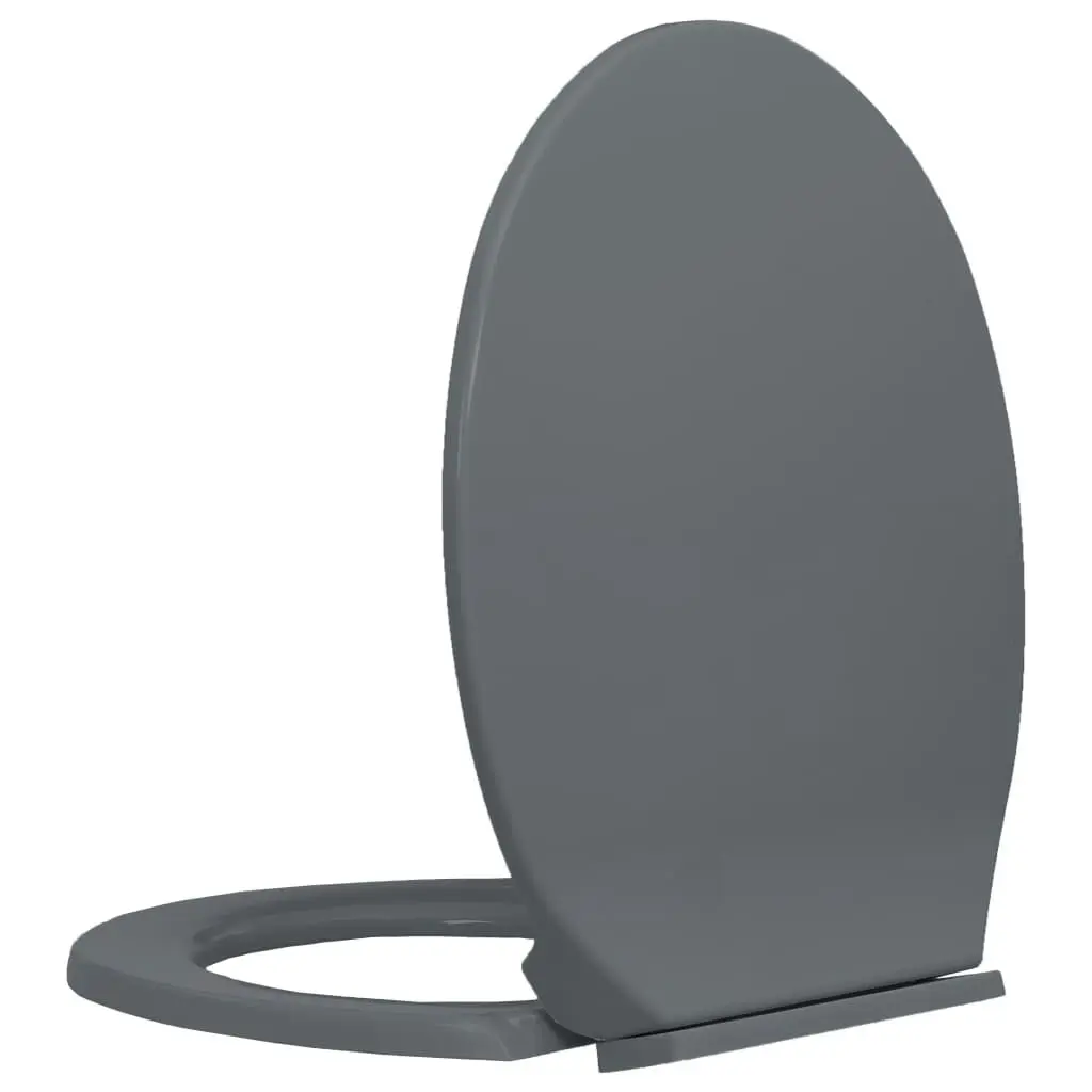 Soft-Close Toilet Seat Grey Oval 145816