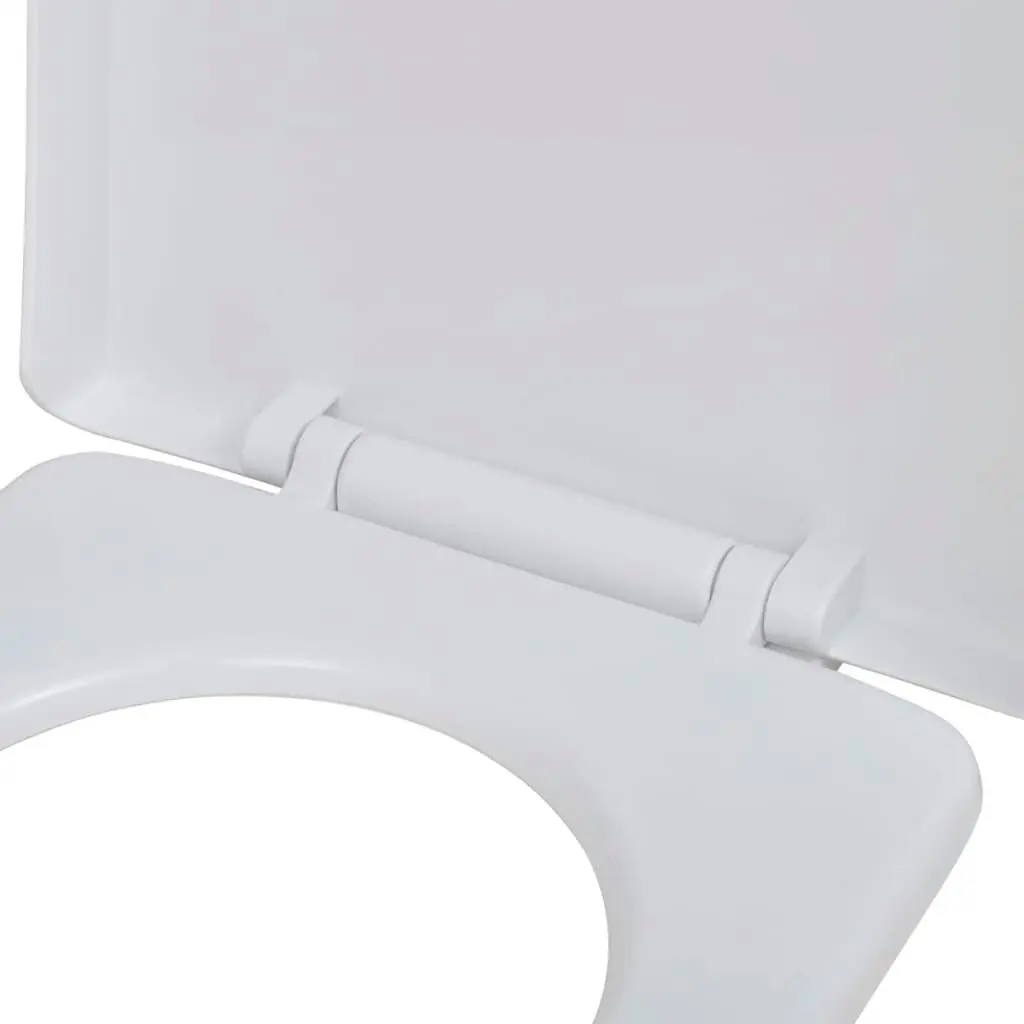 White Soft-close Toilet Seat Square 141763