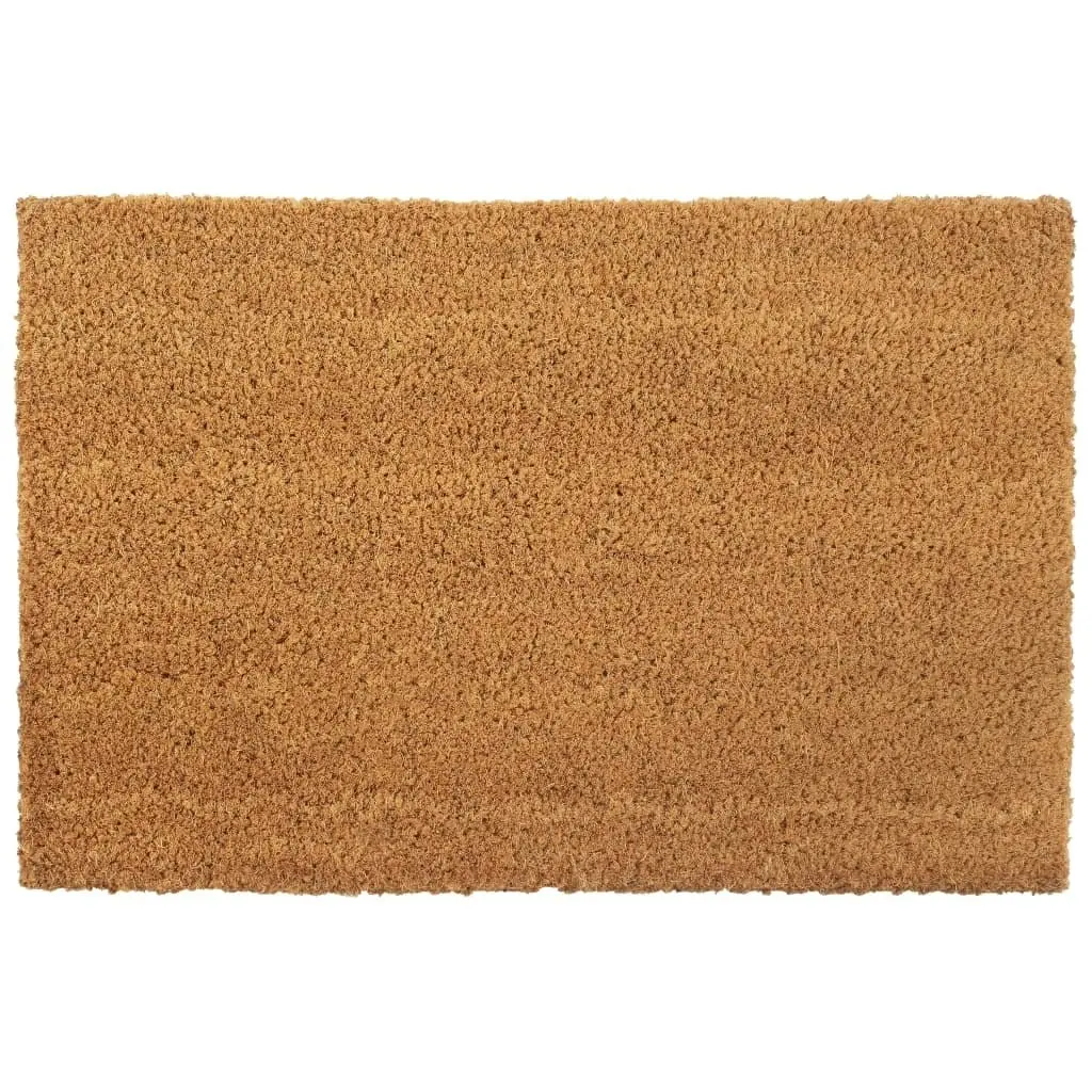 Doormats 2 pcs Coir 24 mm 40x60 cm Natural 132639