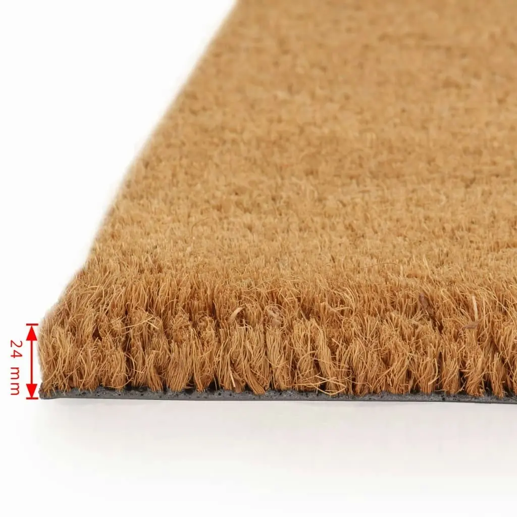 Doormats 2 pcs Coir 24 mm 40x60 cm Natural 132639