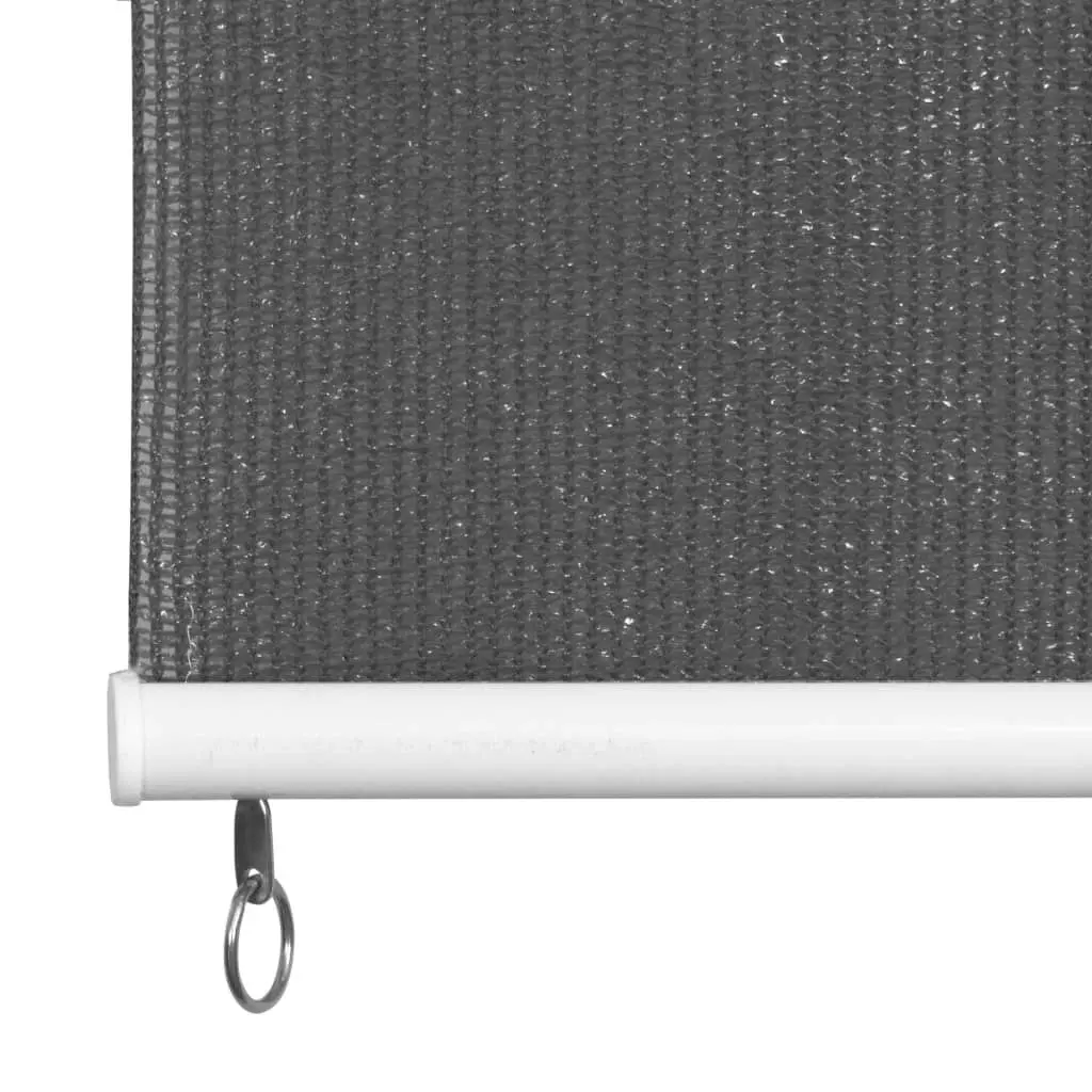 Outdoor Roller Blind 220x140 cm Anthracite 43488