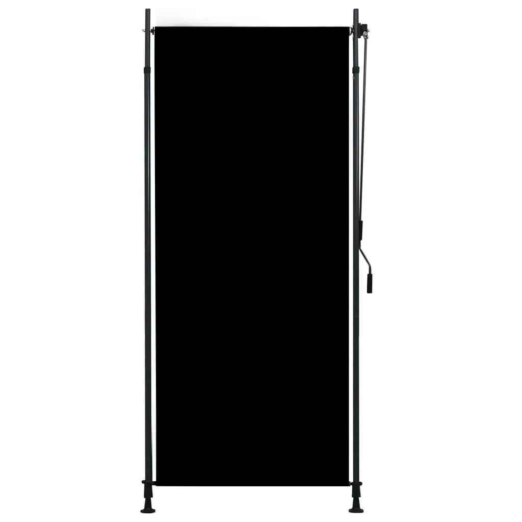 Outdoor Roller Blind 100x270 cm Anthracite 145935