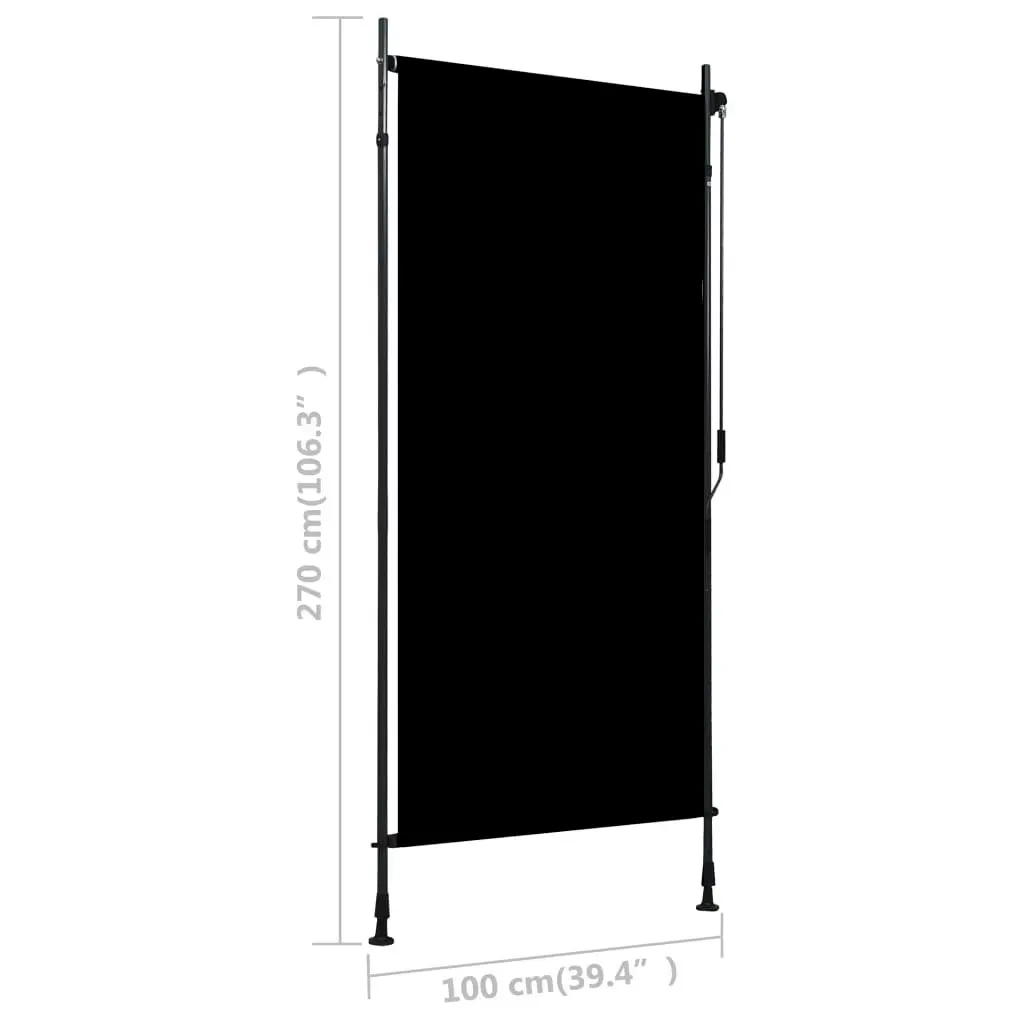 Outdoor Roller Blind 100x270 cm Anthracite 145935