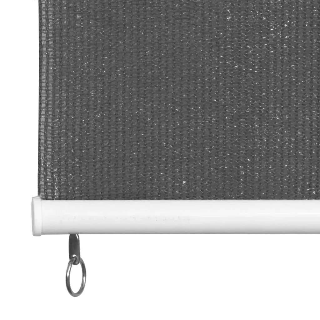 Outdoor Roller Blind 400x140 cm Anthracite 43492