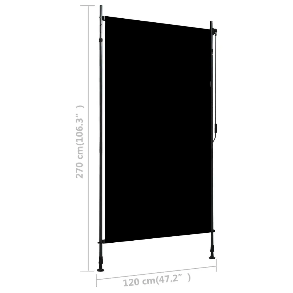 Outdoor Roller Blind 120x270 cm Anthracite 145936