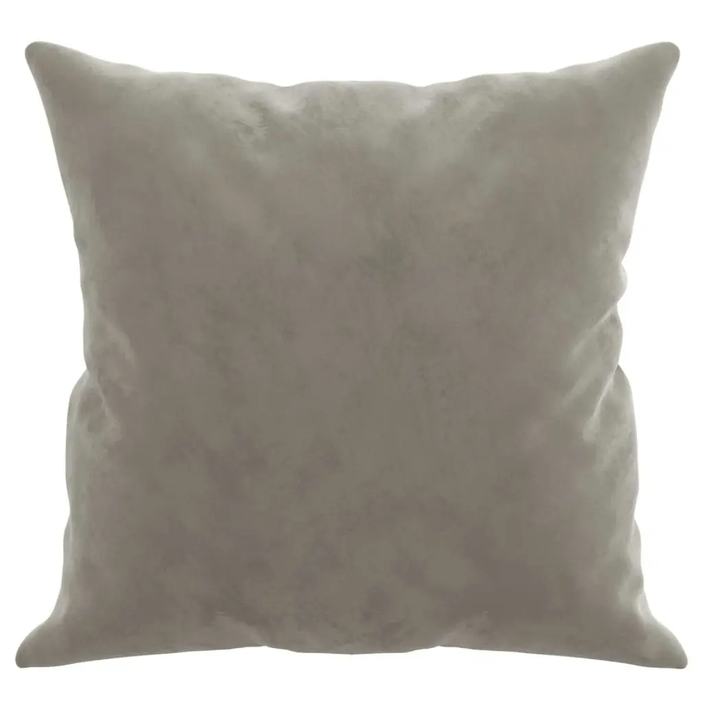 Throw Pillows 2 pcs Light Grey 40x40 cm Velvet 349485