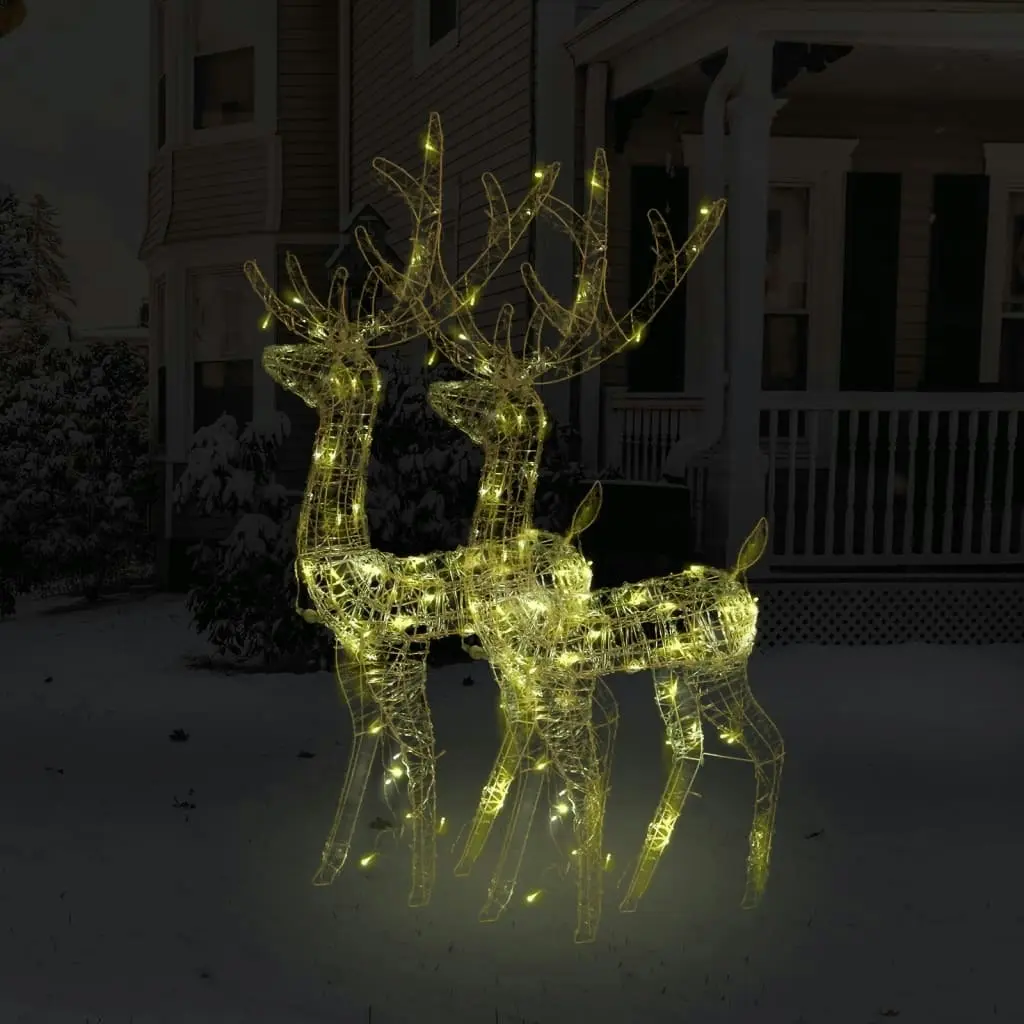 Acrylic Reindeer Christmas Decorations 2 pcs 120 cm Warm White 3154342