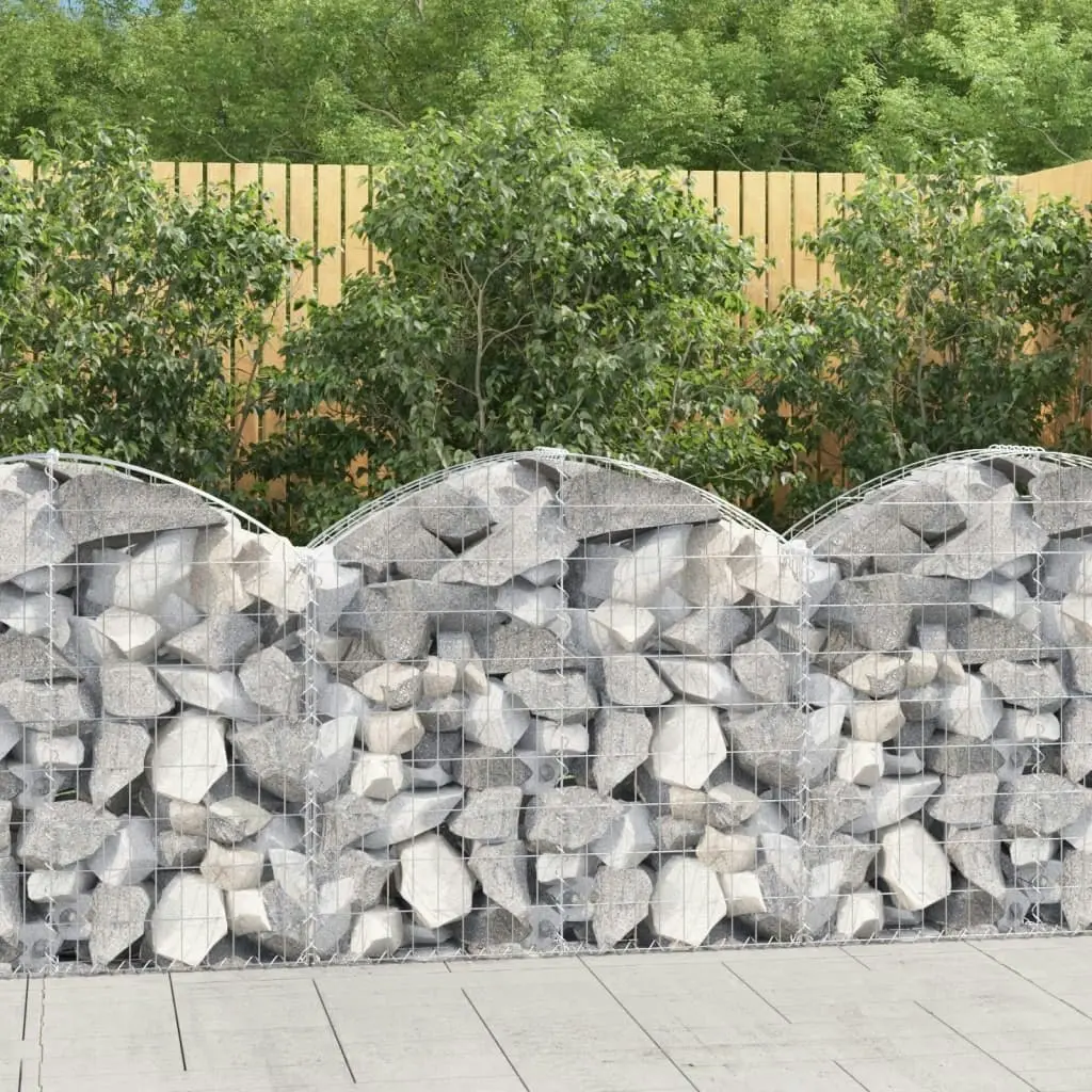 Arched Gabion Basket 100x30x80/100 cm Galvanised Iron 153424