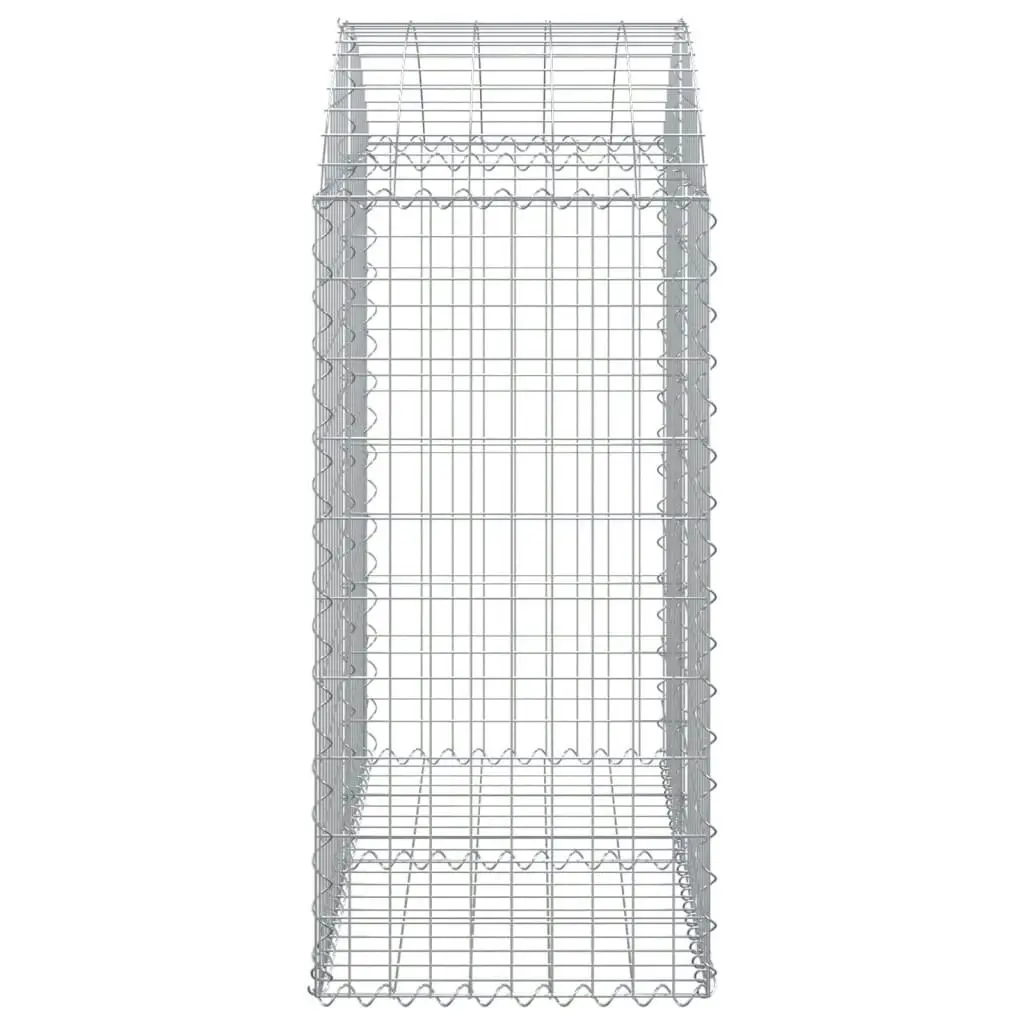 Arched Gabion Basket 100x50x100/120 cm Galvanised Iron 153435