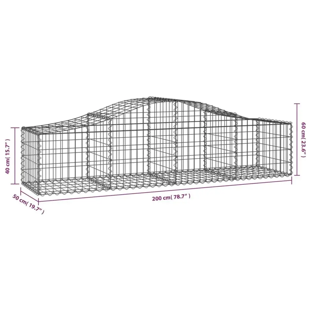 Arched Gabion Basket 200x50x40/60 cm Galvanised Iron 153392