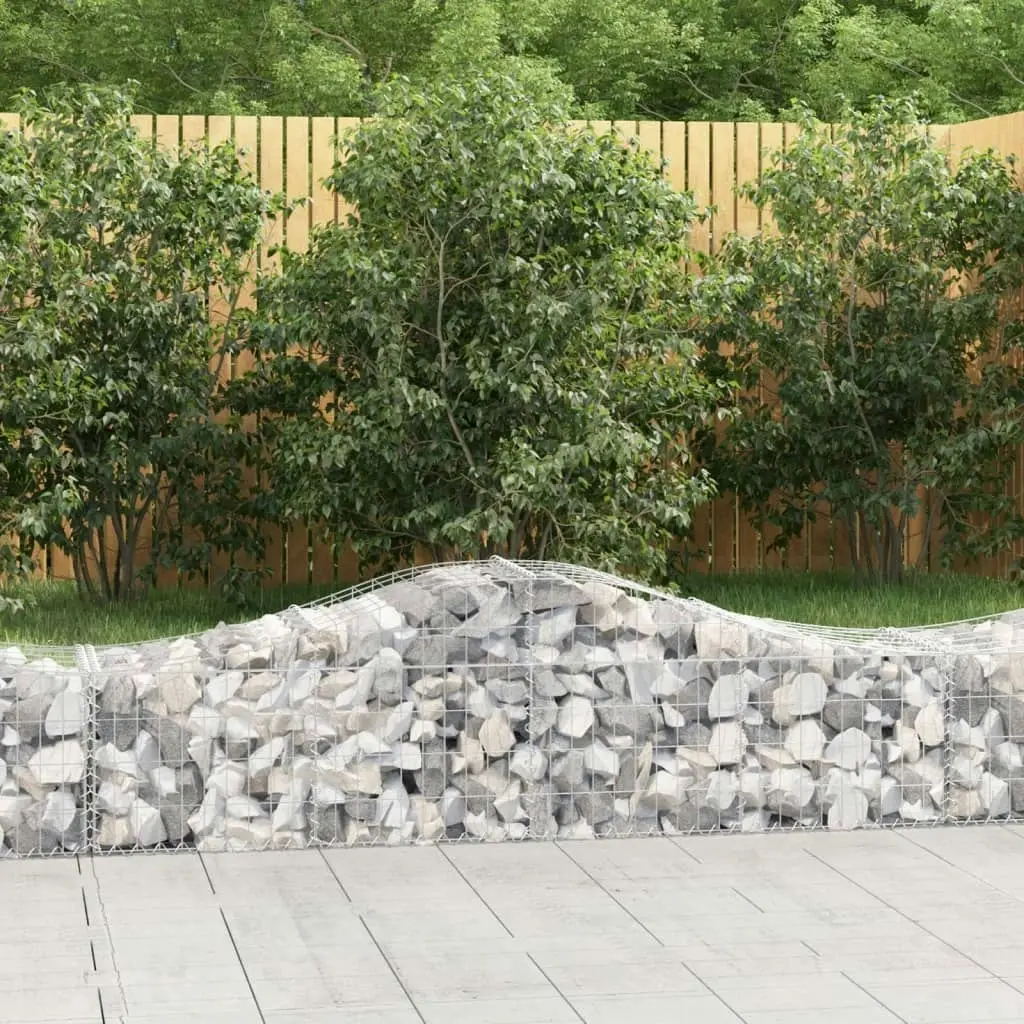 Arched Gabion Basket 200x50x40/60 cm Galvanised Iron 153392