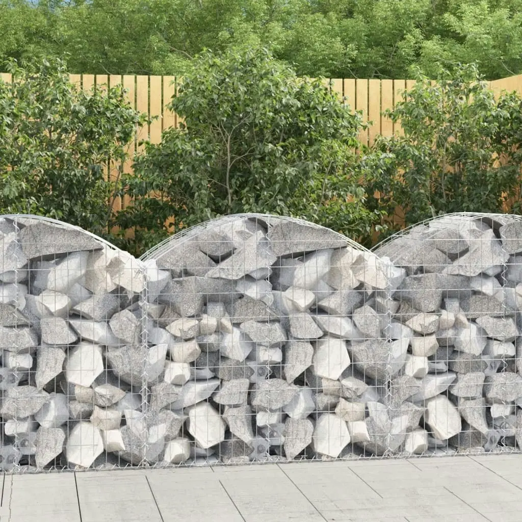 Arched Gabion Basket 100x50x80/100 cm Galvanised Iron 153434