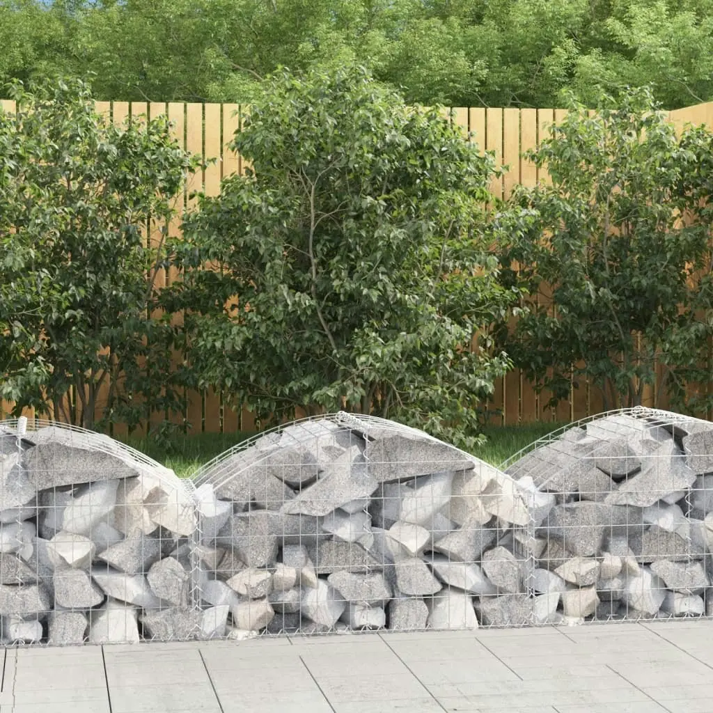 Arched Gabion Basket 100x50x40/60 cm Galvanised Iron 153432