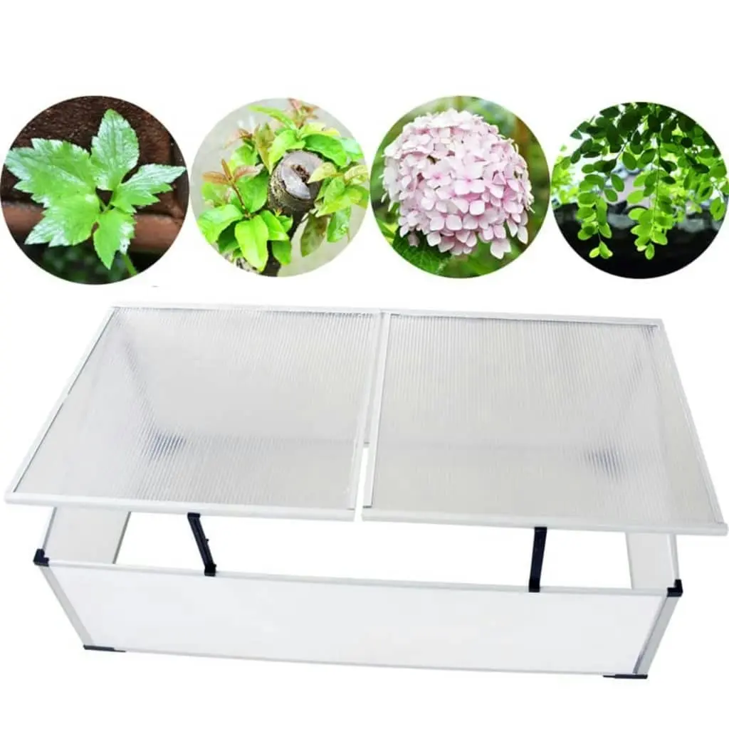 Cold Frame 2 Lids 110x41x55 cm 40213