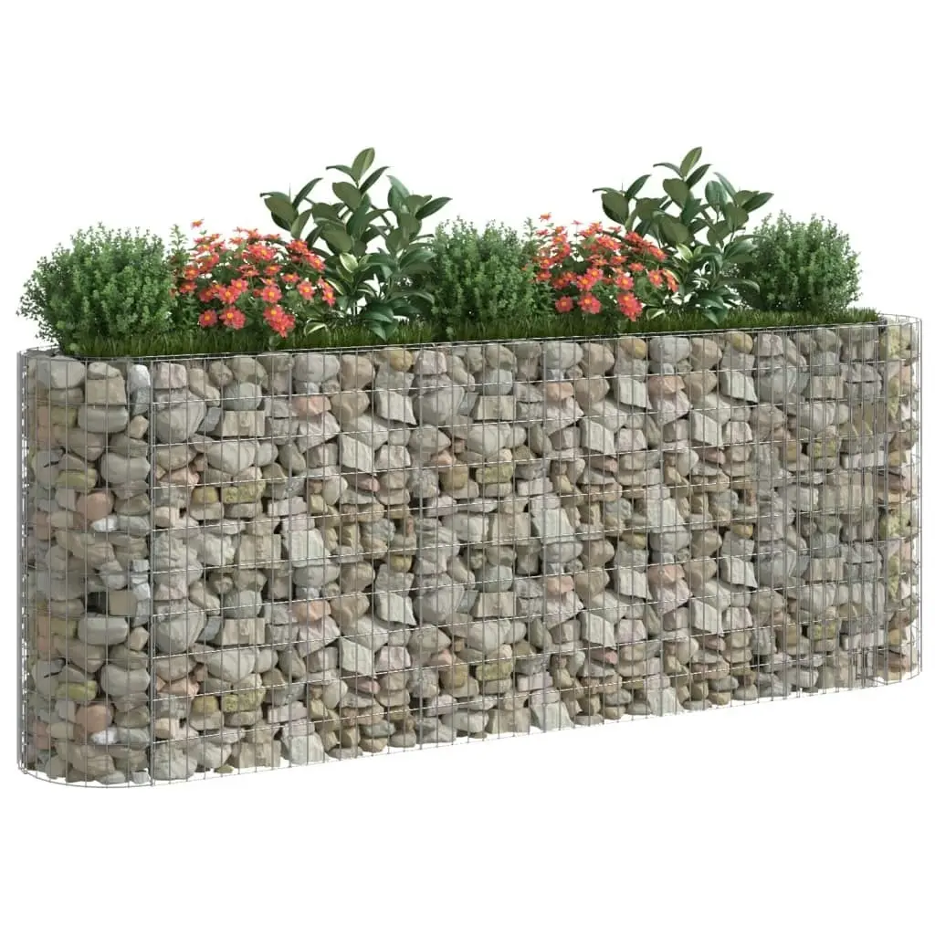 Gabion Raised Bed Galvanised Iron 260x50x100 cm 152034