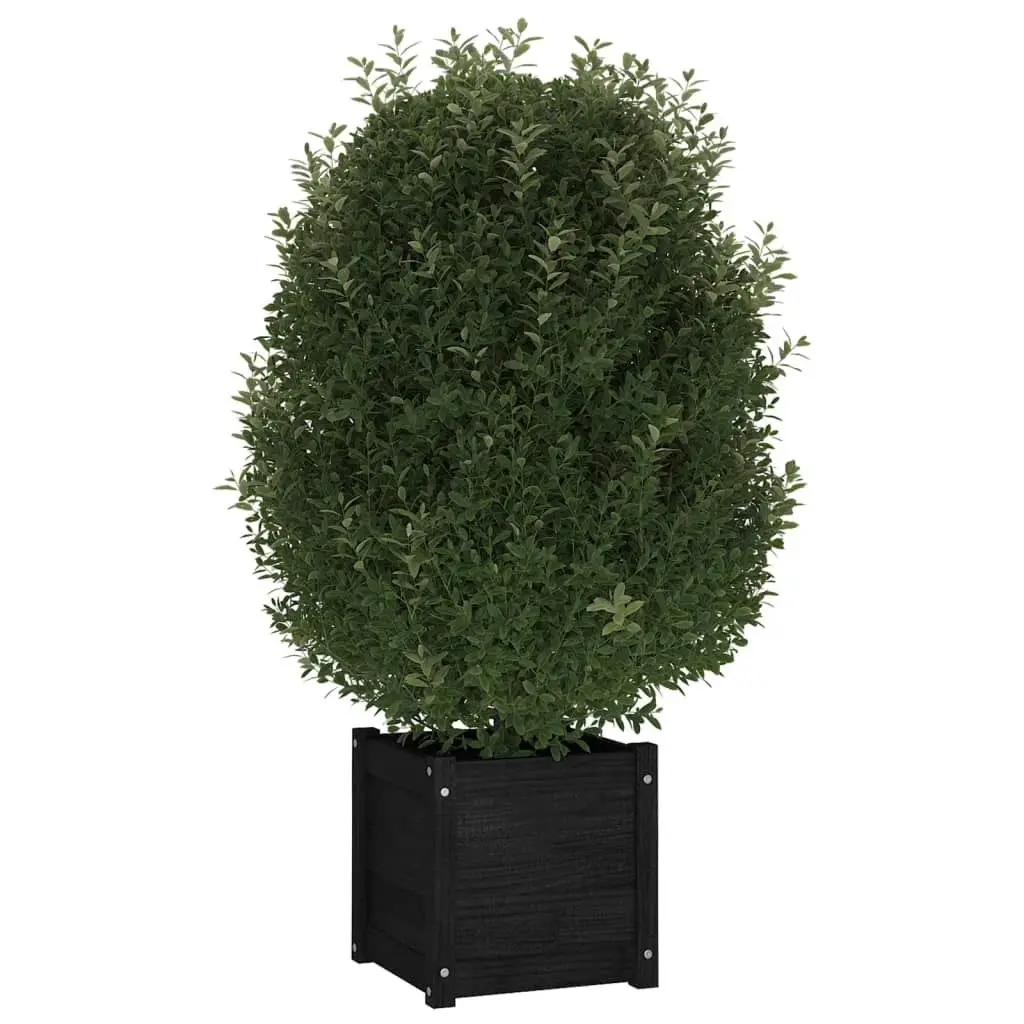 Garden Planter Black 40x40x40 cm Solid Pinewood 810542