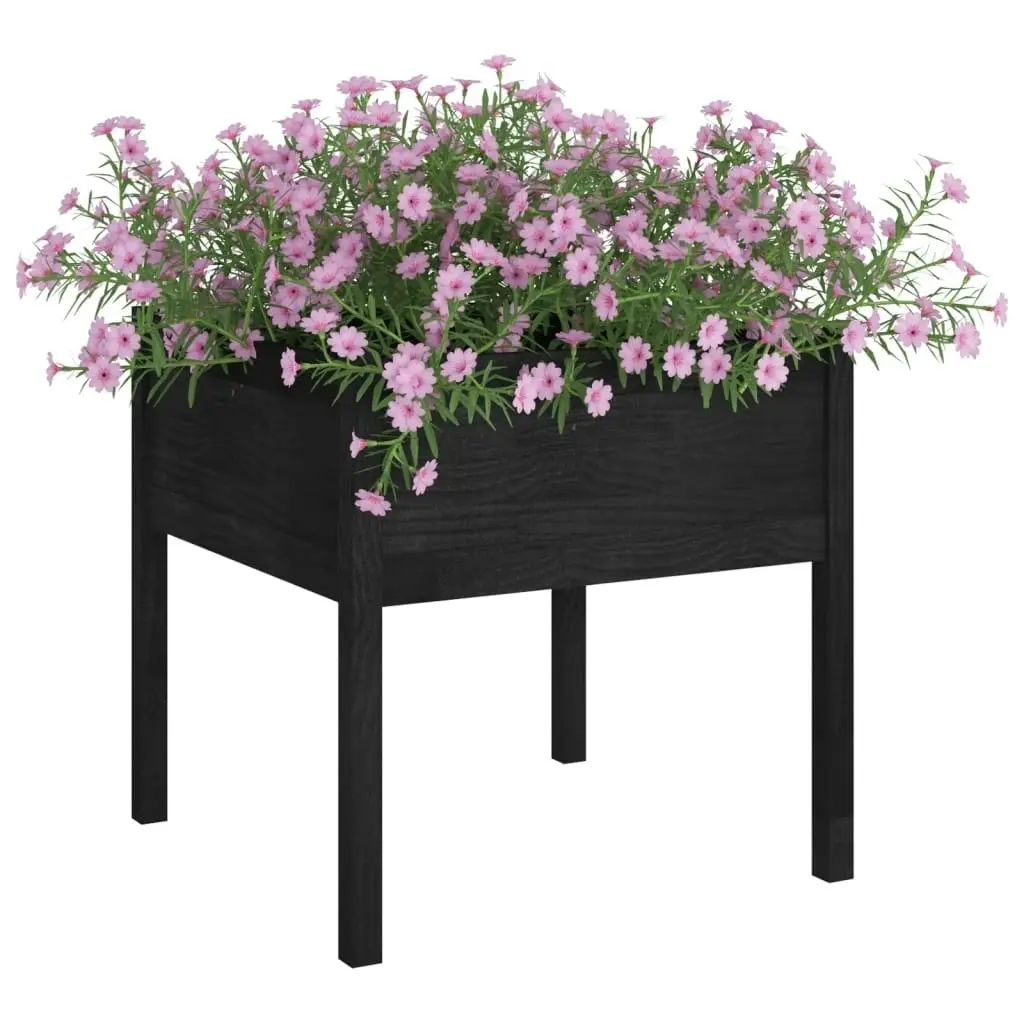 Garden Planter Black 70x70x70 cm Solid Pinewood 810817