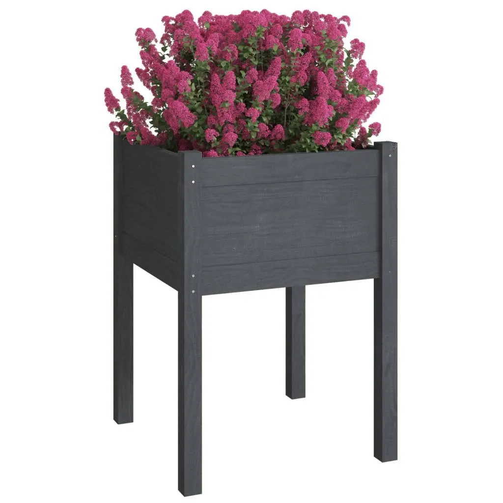 Garden Planter Grey 50x50x70 cm Solid Pinewood 810803