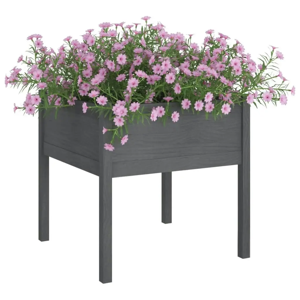 Garden Planter Grey 70x70x70 cm Solid Pinewood 810813