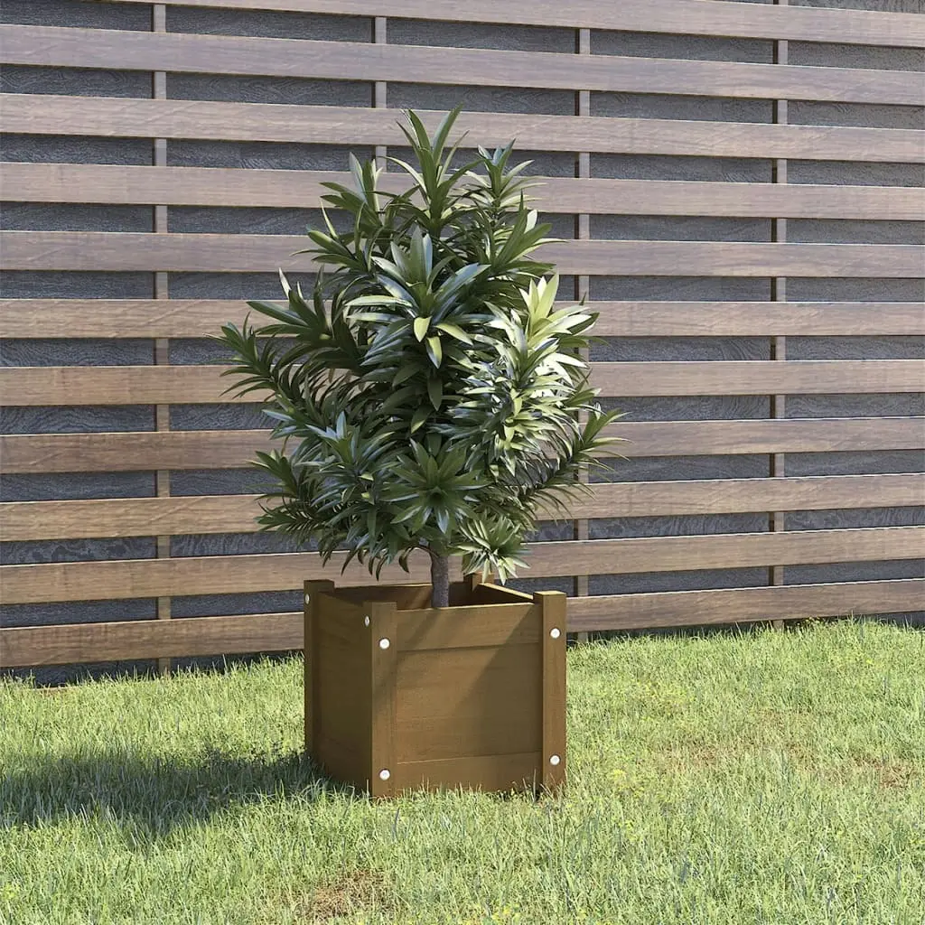 Garden Planter Honey Brown 31x31x31 cm Solid Pinewood 810528