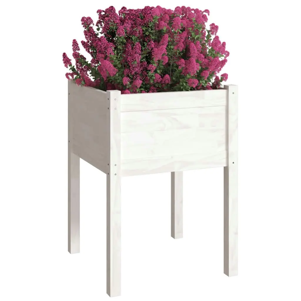 Garden Planter White 50x50x70 cm Solid Pinewood 810801