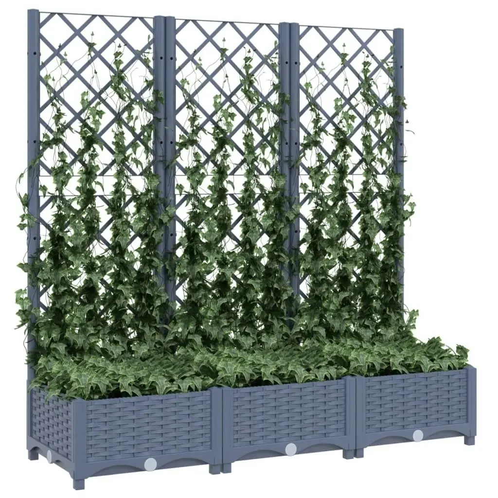 Garden Planter with Trellis Dark Grey 120x40x121.5 cm PP 318252