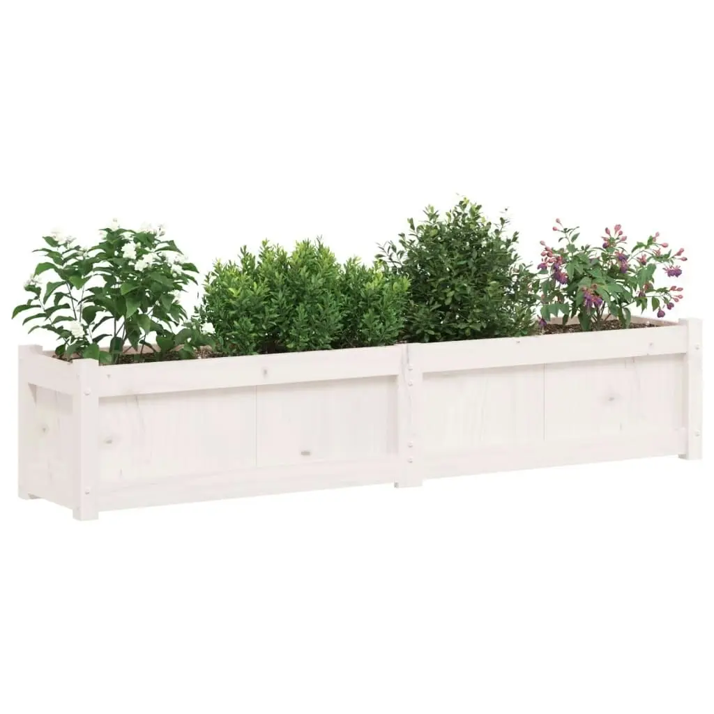 Garden Planters 2 pcs White Solid Wood Pine 837477