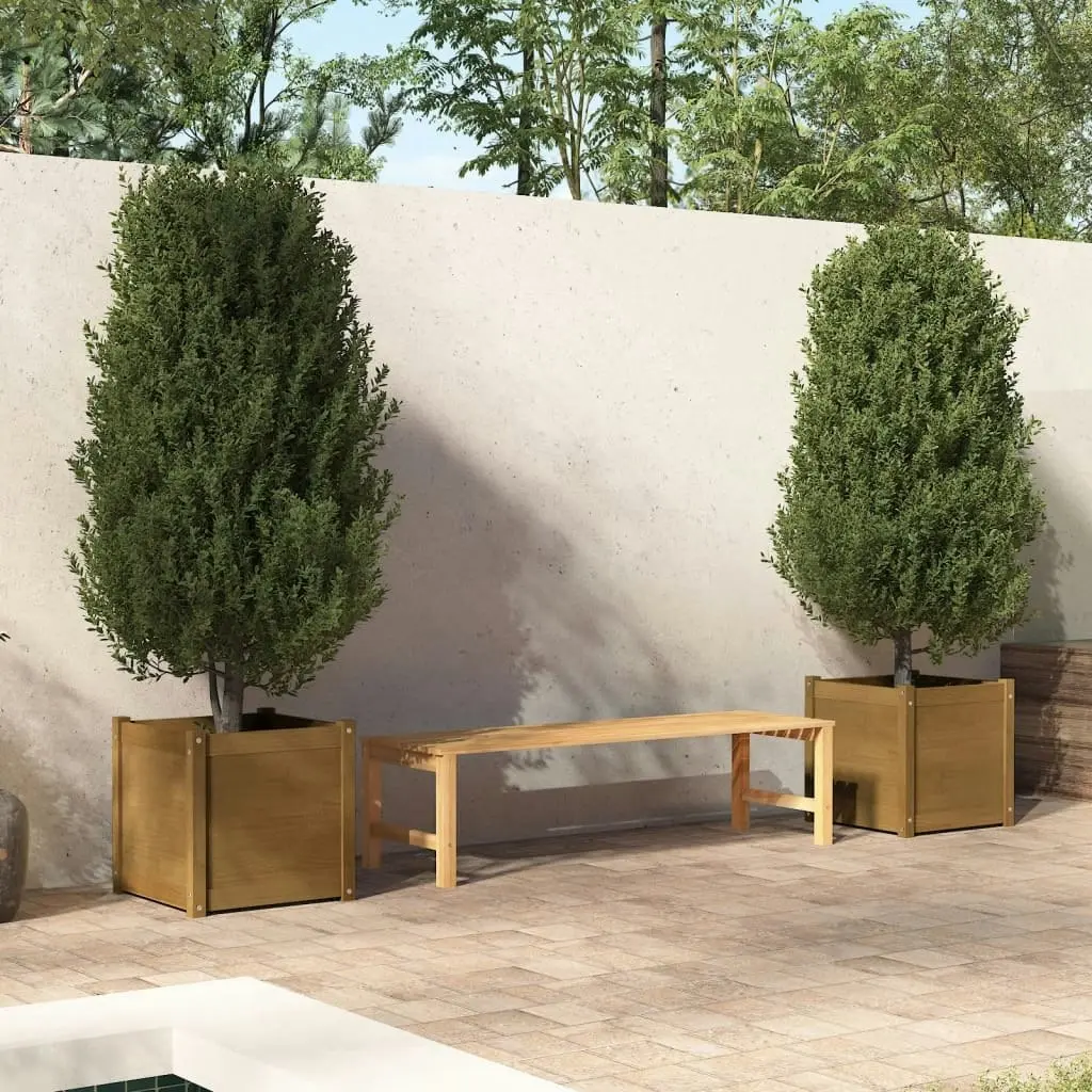 Garden Planters 2 pcs Honey Brown 50x50x50 cm Solid Pinewood 810553