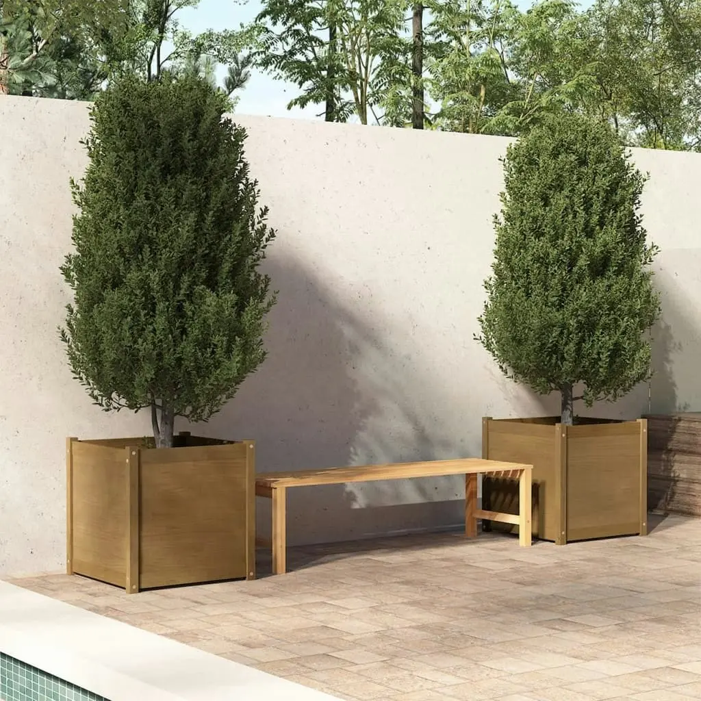 Garden Planters 2 pcs Honey Brown 60x60x60 cm Solid Pinewood 810565