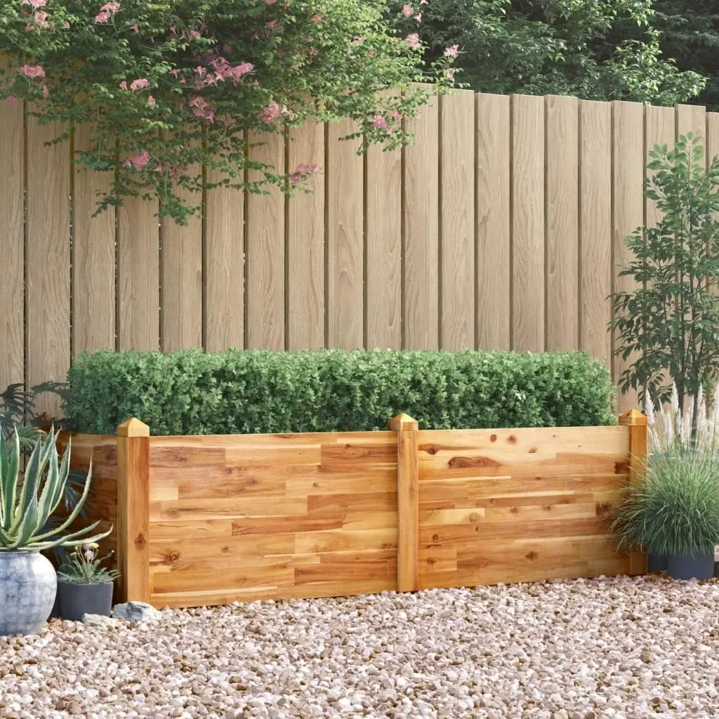 Garden Raised Bed 160x60x44 cm Solid Wood Acacia 363448