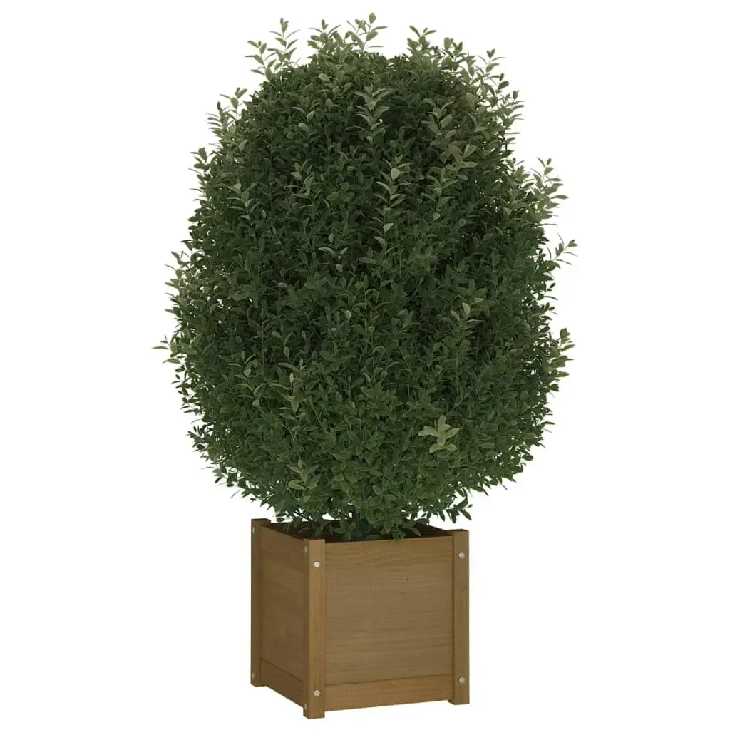 Garden Planter Honey Brown 40x40x40 cm Solid Pinewood 810540