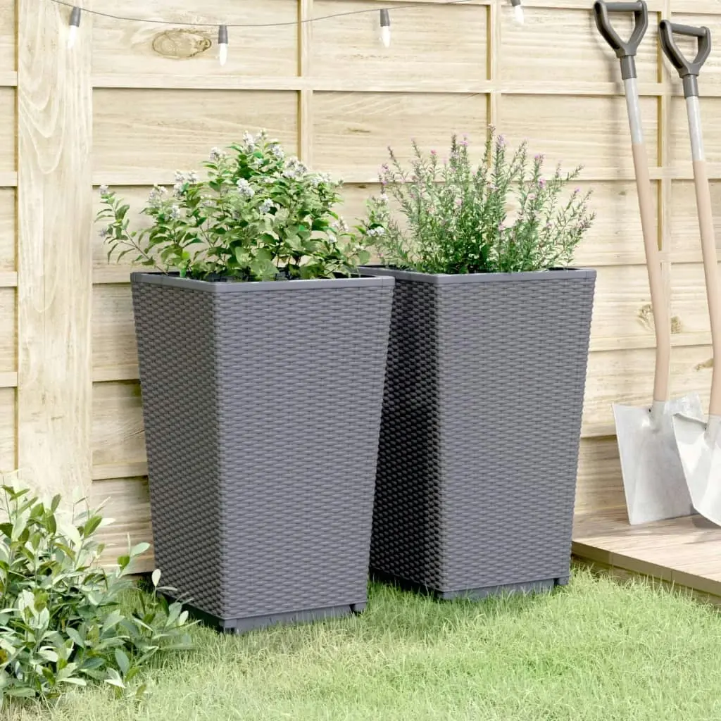 Garden Planters 2 pcs Grey 32.5x32.5x57 cm PP 367846