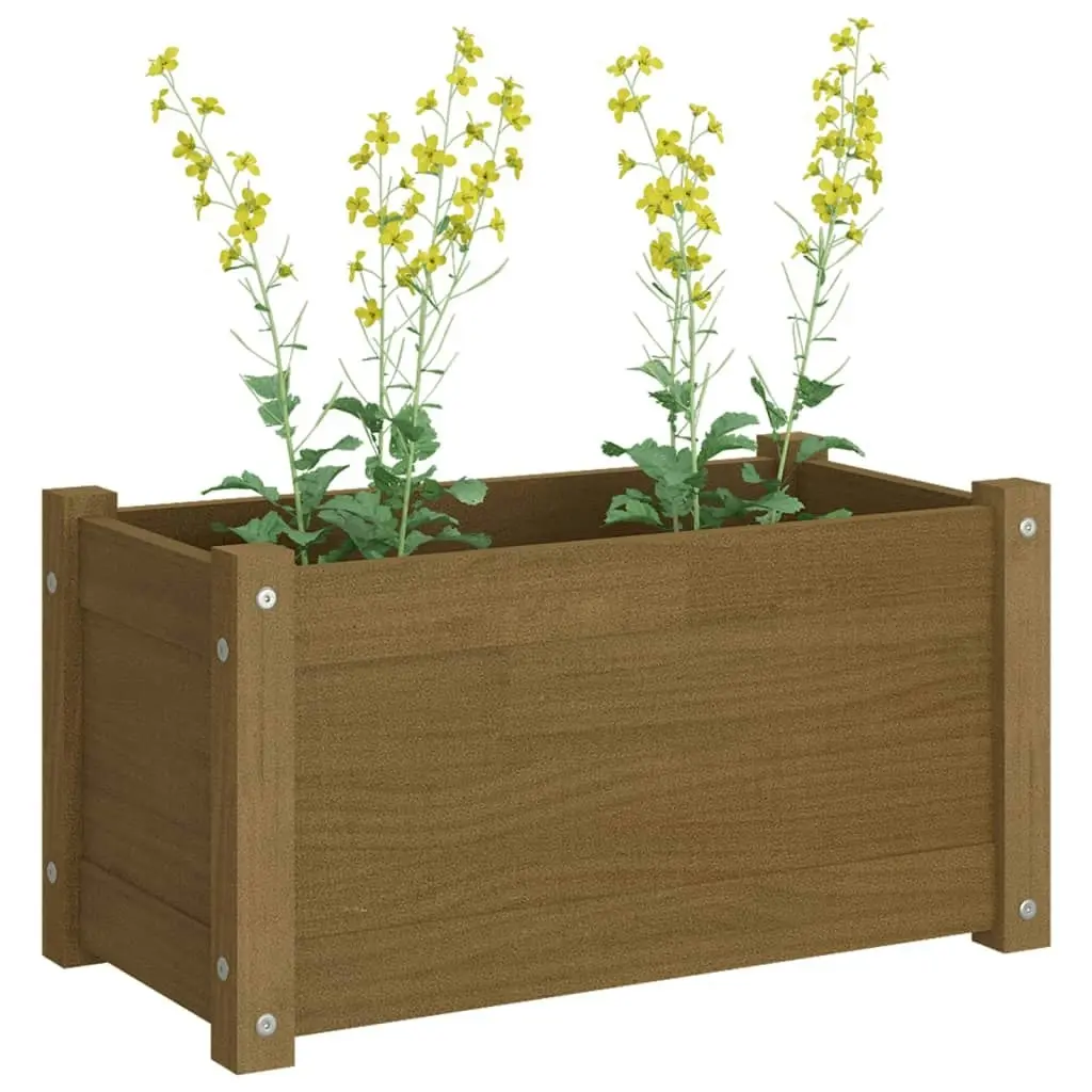 Garden Planters 2 pcs Honey Brown 60x31x31 cm Solid Pinewood 810711