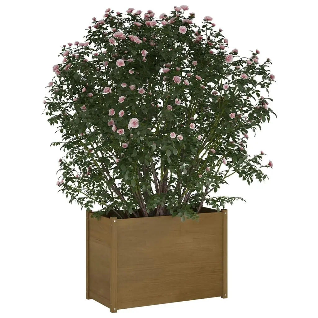 Garden Planter Honey Brown 100x50x70 cm Solid Pinewood 810737