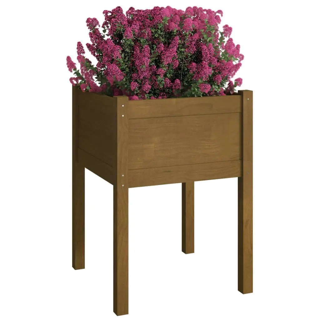 Garden Planter Honey Brown 50x50x70 cm Solid Pinewood 810805