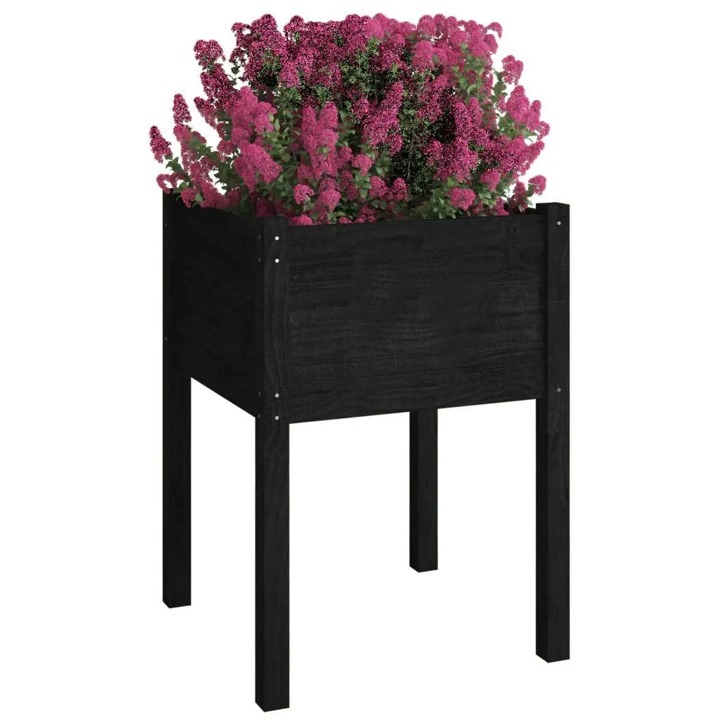 Garden Planters 2 pcs Black 50x50x70 cm Solid Pinewood 810808