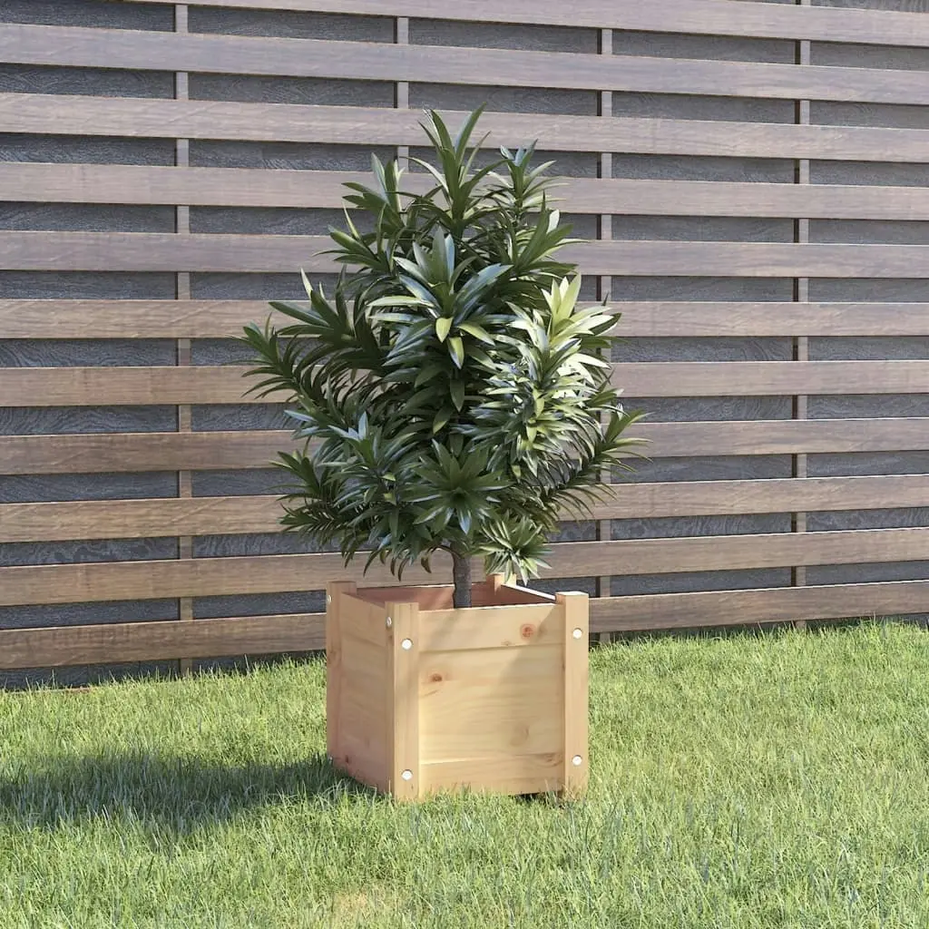 Garden Planter 31x31x31 cm Solid Pinewood 810522