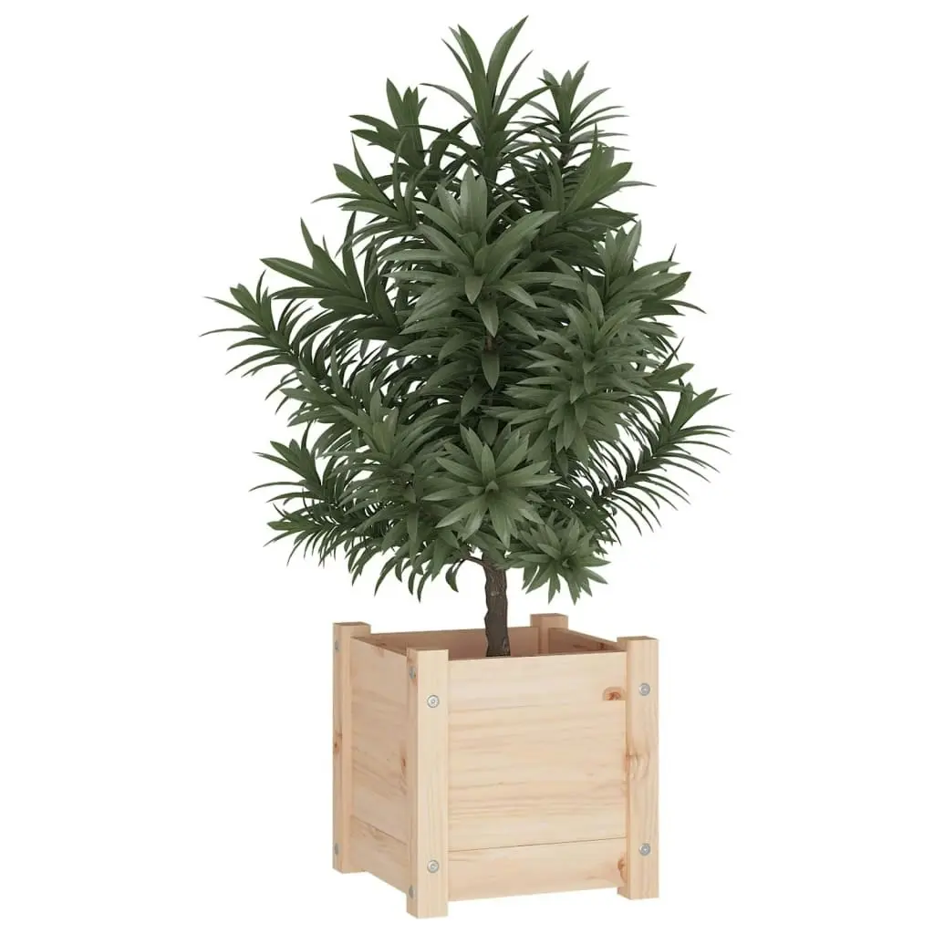 Garden Planter 31x31x31 cm Solid Pinewood 810522