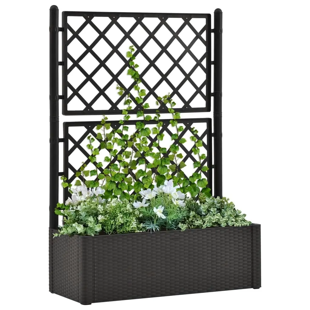 Garden Raised Bed with Trellis and Self Watering System Anthracite 313969