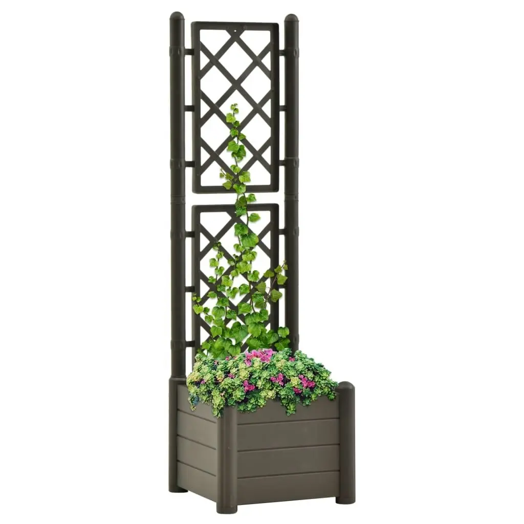 Garden Planter with Trellis 43x43x142 cm PP Anthracite 313981