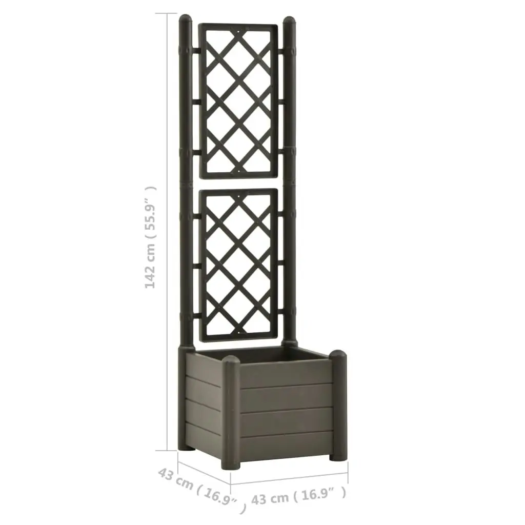 Garden Planter with Trellis 43x43x142 cm PP Anthracite 313981