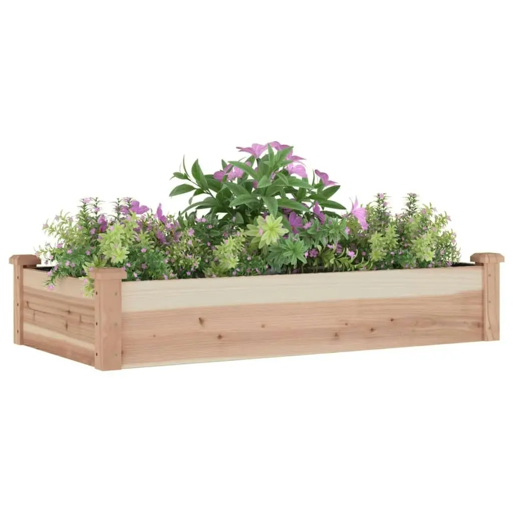 Garden Raised Bed with Liner 120x60x25 cm Solid Wood Fir 364289