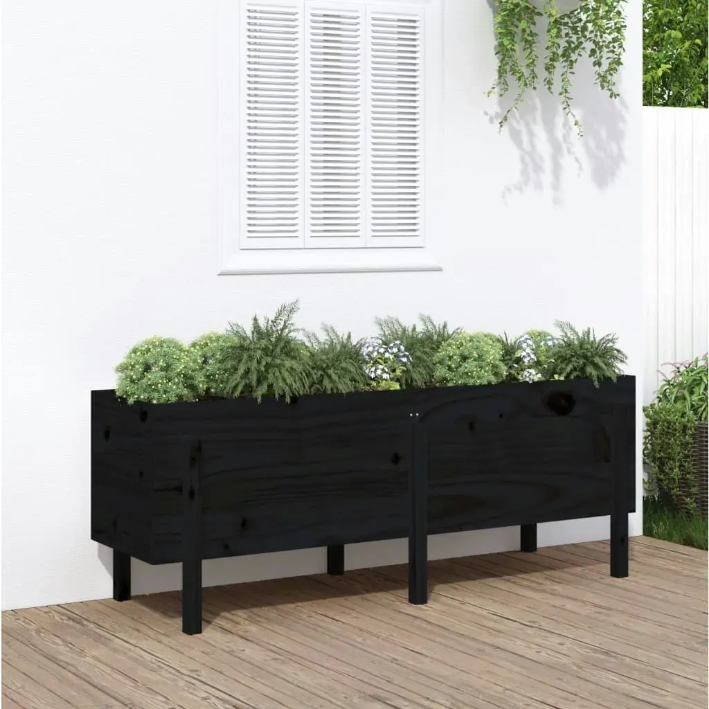 Garden Raised Bed Black 160x50x57 cm Solid Wood Pine 825223