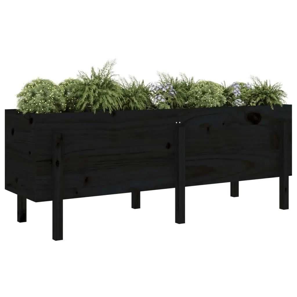 Garden Raised Bed Black 160x50x57 cm Solid Wood Pine 825223