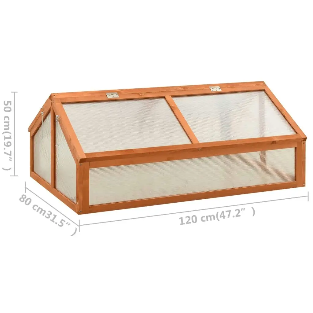 Greenhouse 120x80x50 cm Firwood 314852