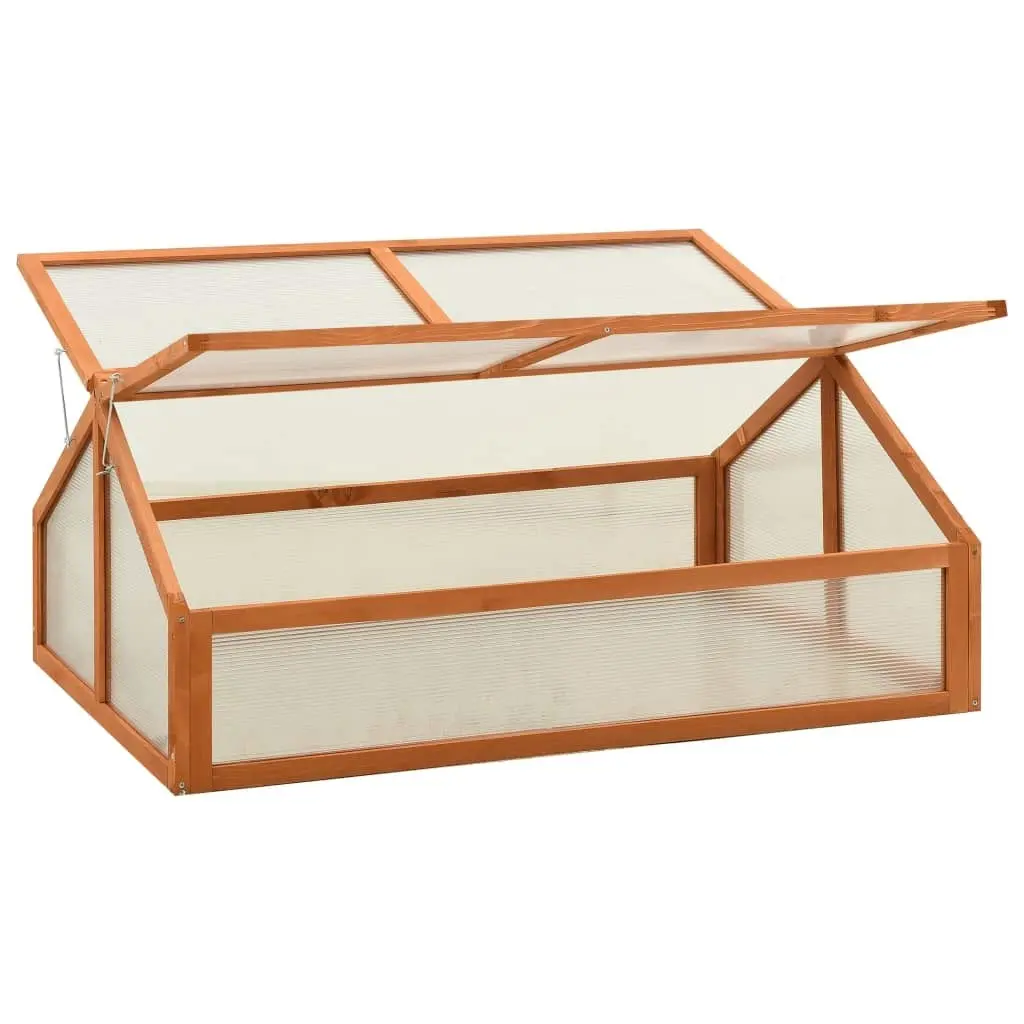 Greenhouse 120x80x50 cm Firwood 314852